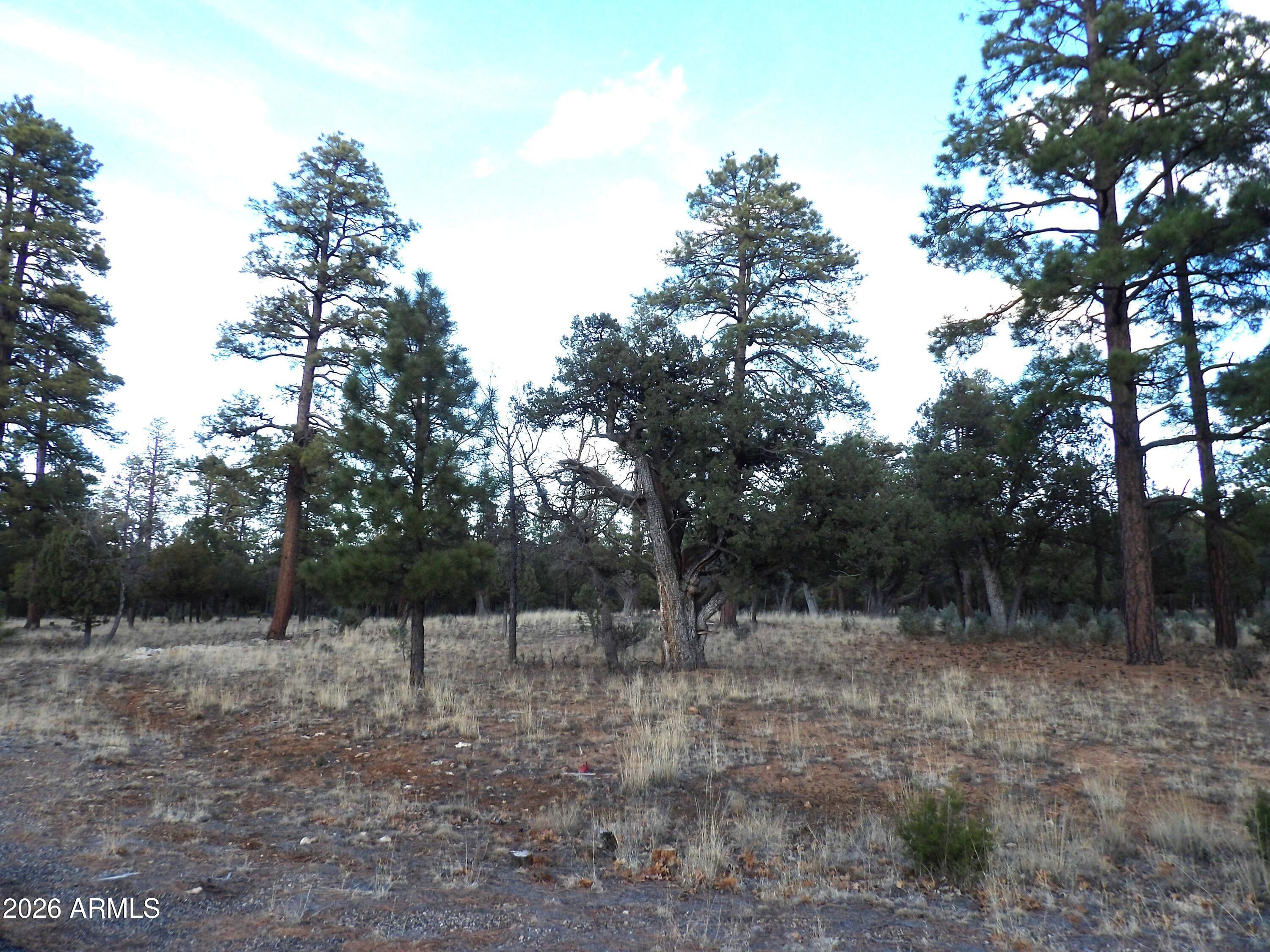 2941 EAGLE RIDGE Circle 119