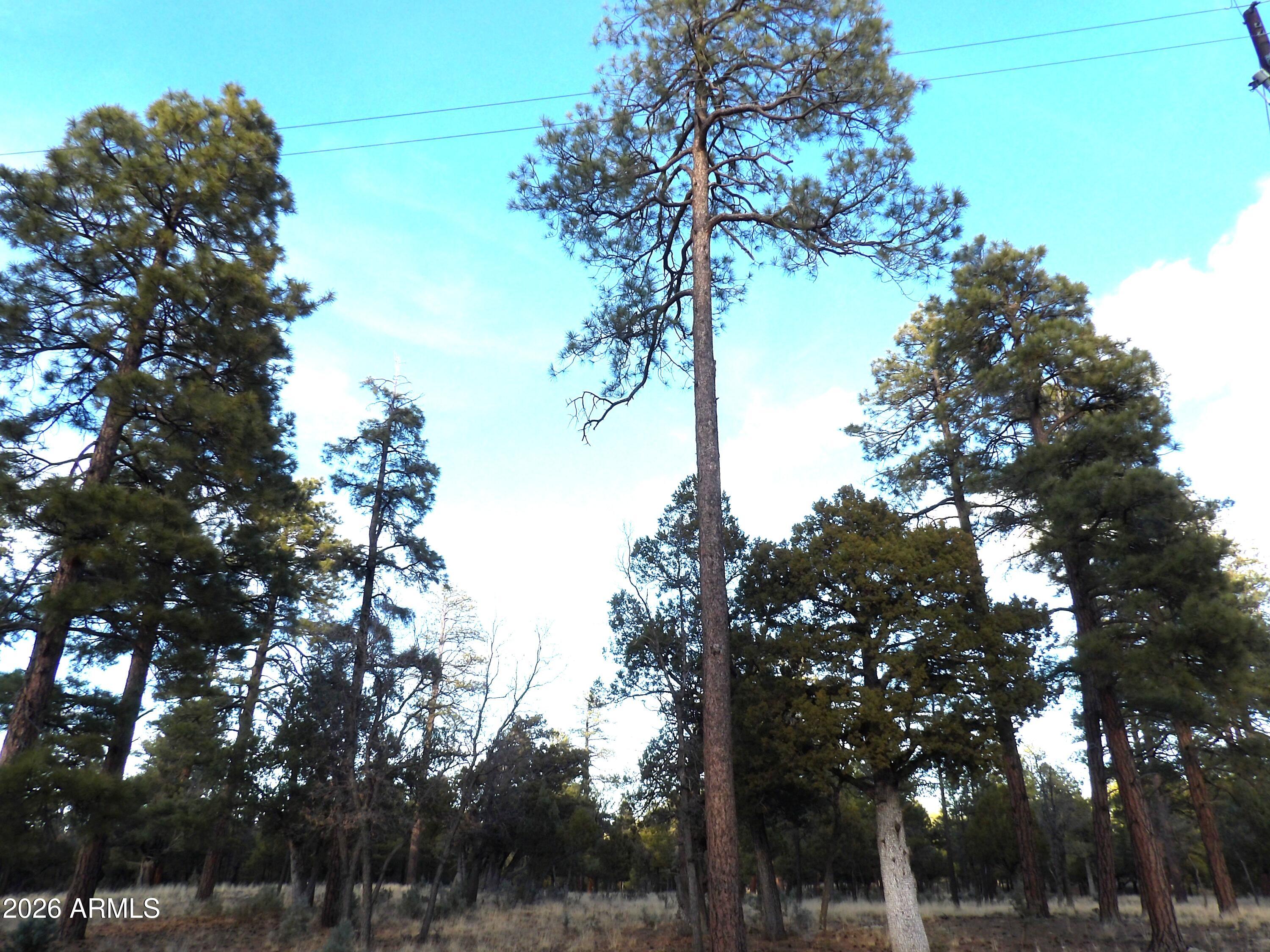 2941 EAGLE RIDGE Circle 119