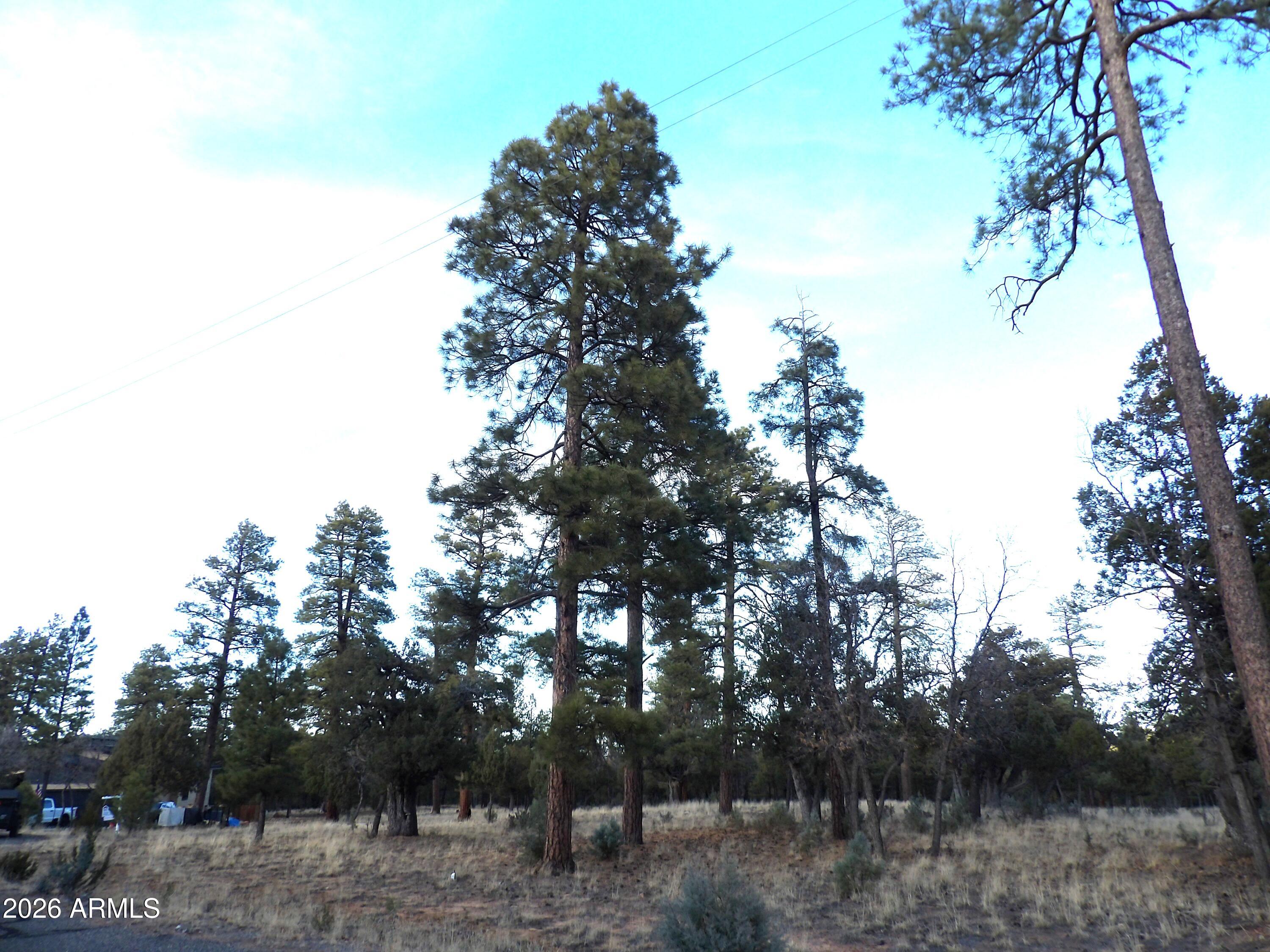 2941 EAGLE RIDGE Circle 119