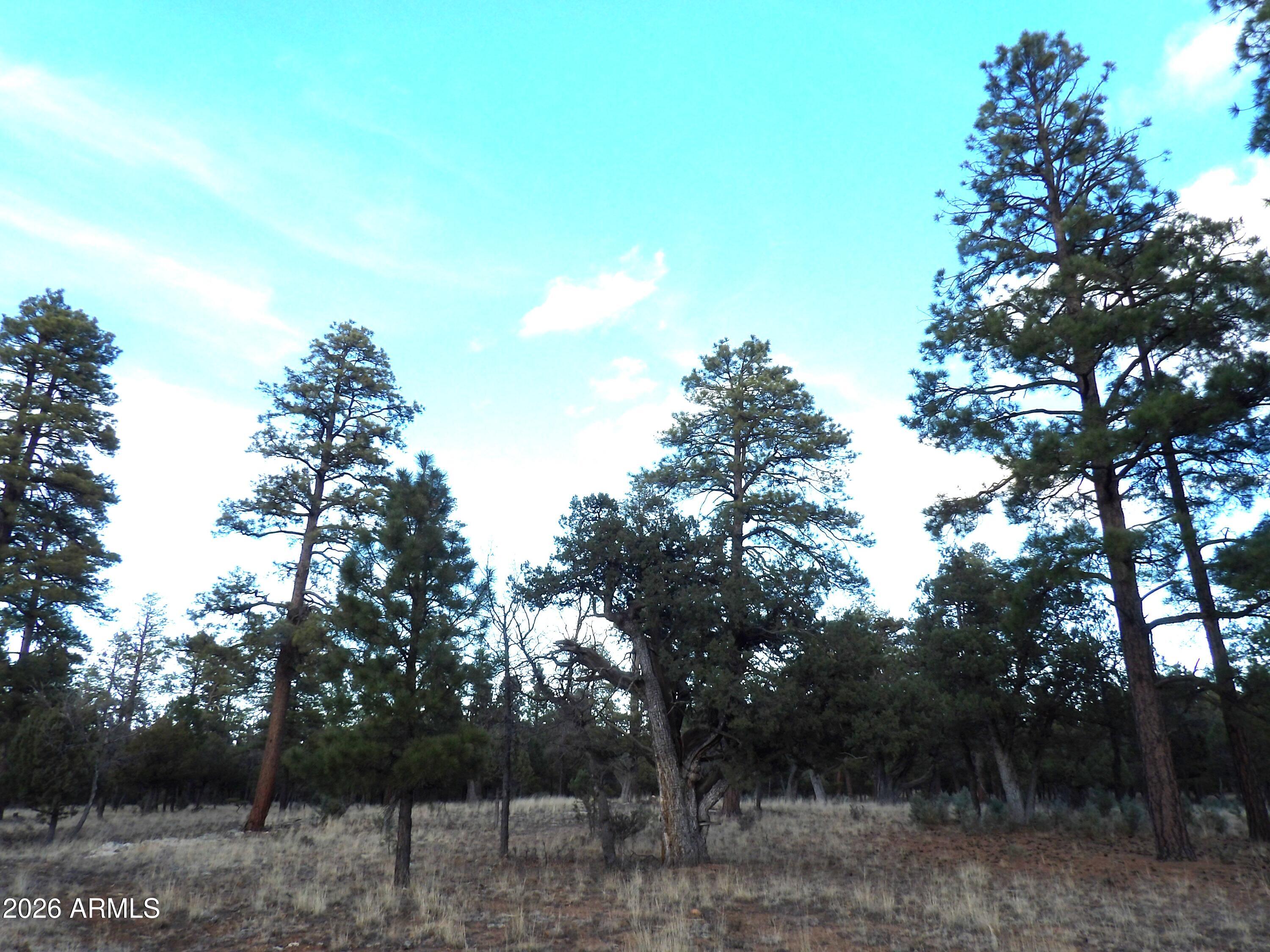 2941 EAGLE RIDGE Circle 119