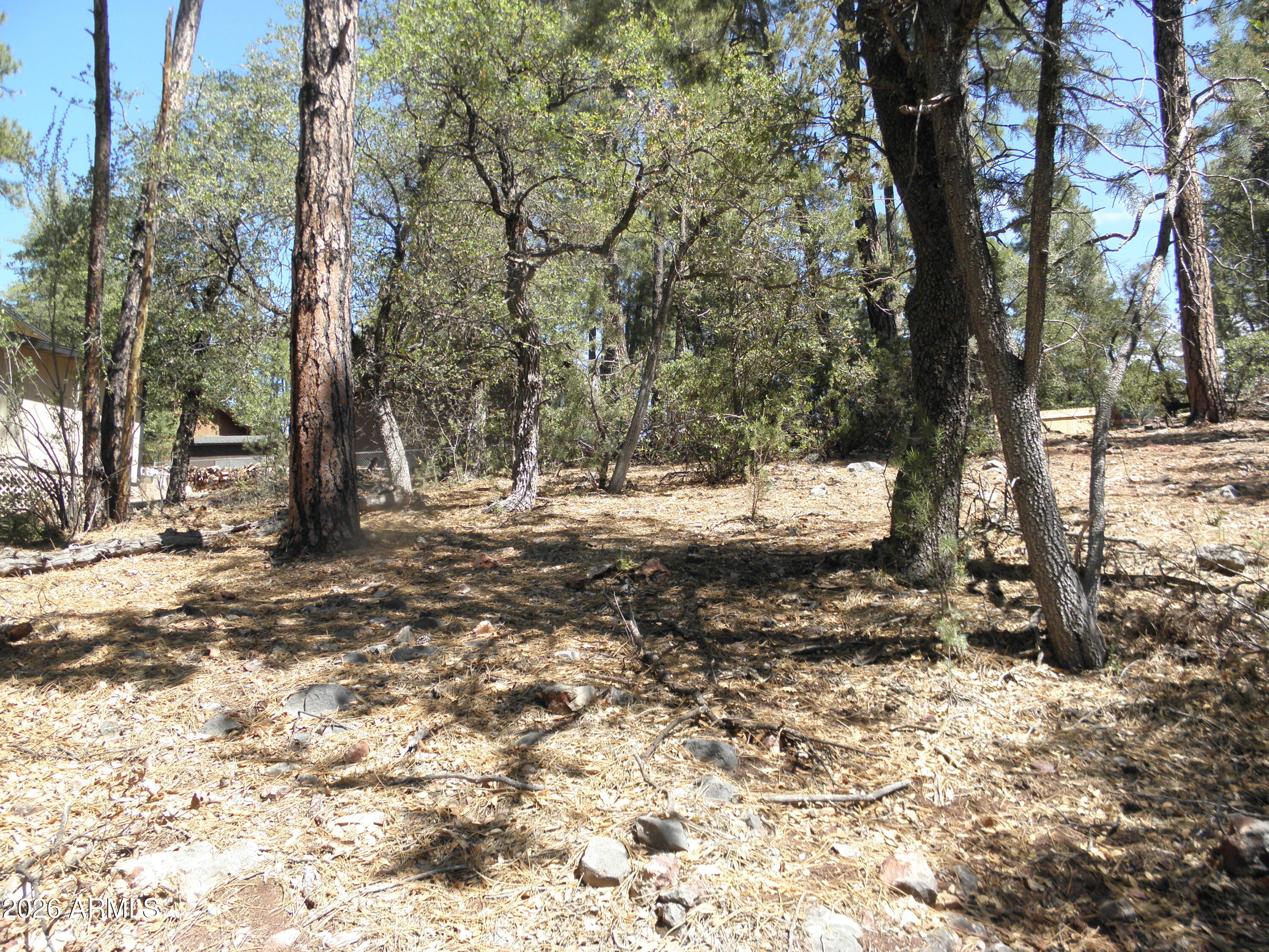 6454 W BRADSHAW Drive 116