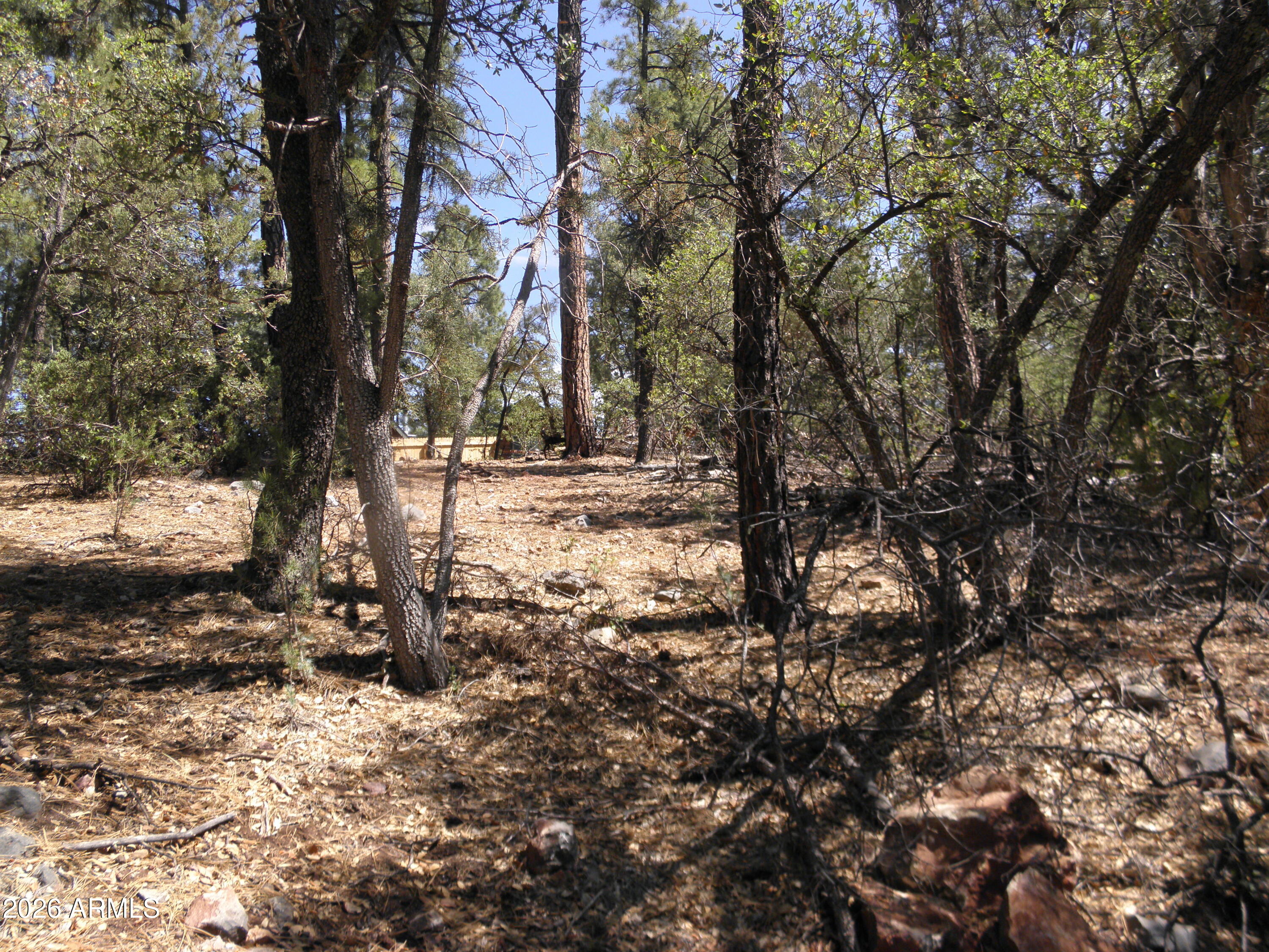 6454 W BRADSHAW Drive 116