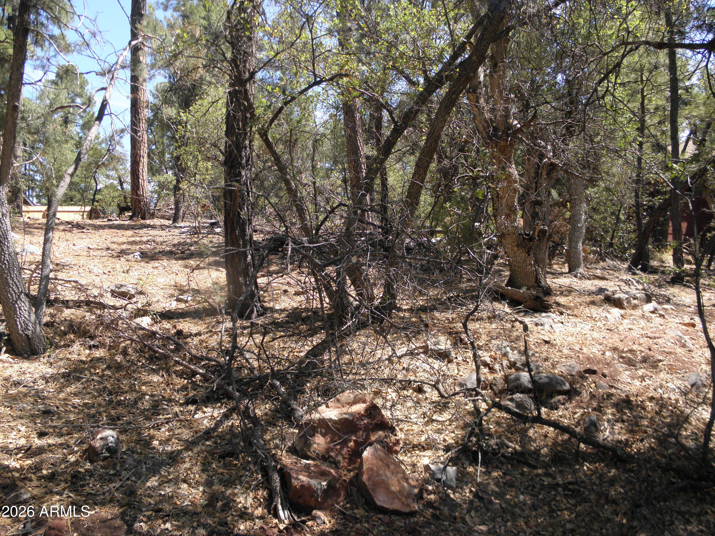 6454 W BRADSHAW Drive 116