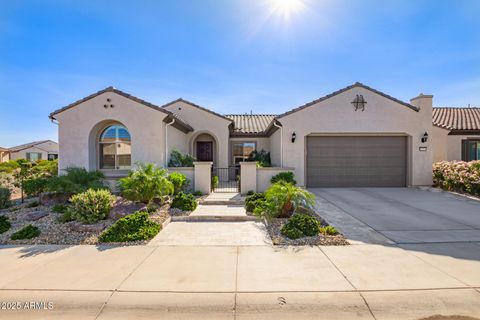 20283 N wagner wash Drive Buckeye AZ 85396