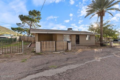 311 W TERRACE Drive Superior AZ 85173