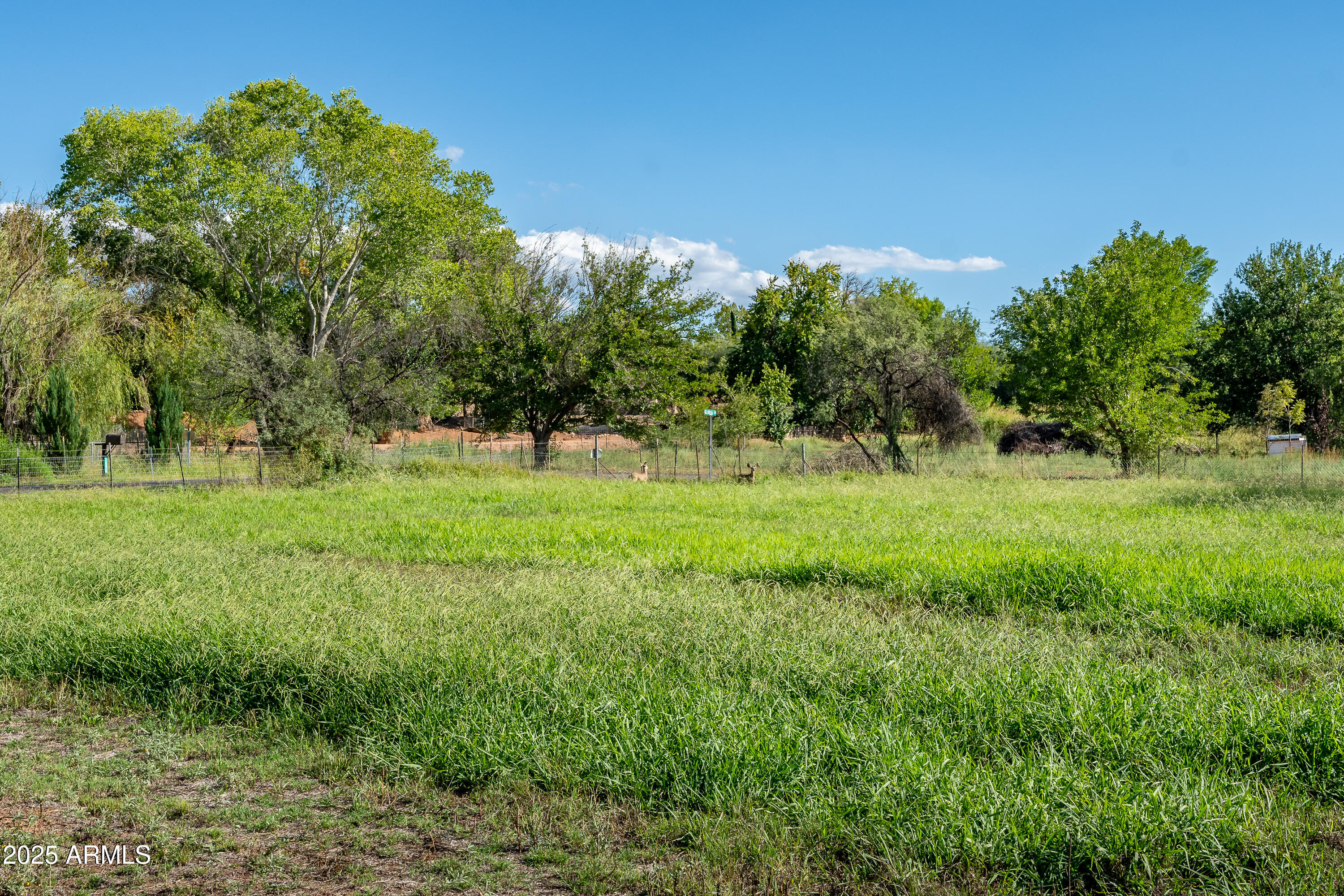 10883 E PEAR TREE Drive 14