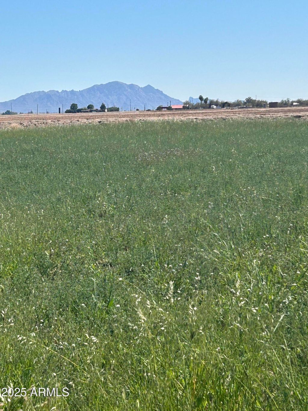 Photo of Tbd Lot C E Lindbergh Avenue E #-, Coolidge, AZ 85128 (MLS # 6839381)