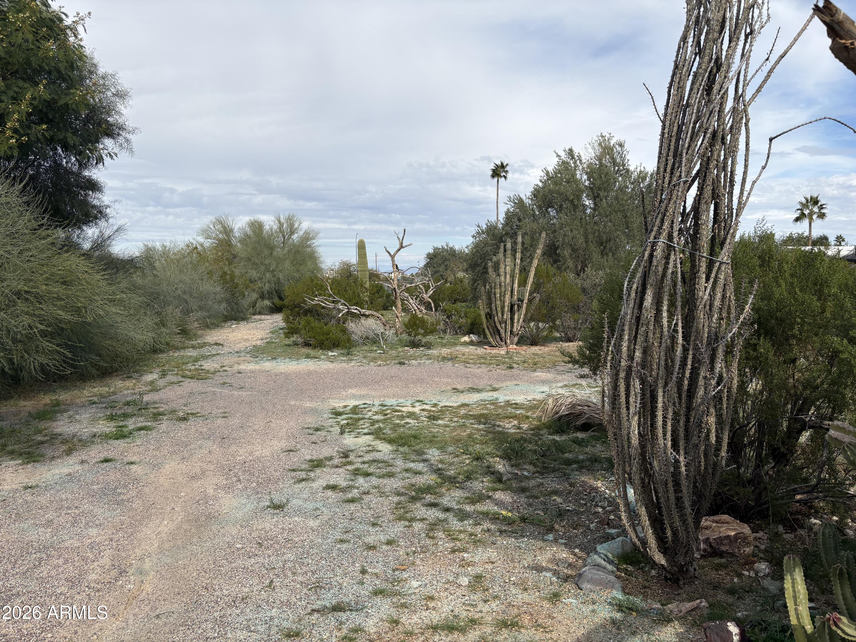 125 E SOUTH MOUNTAIN Avenue