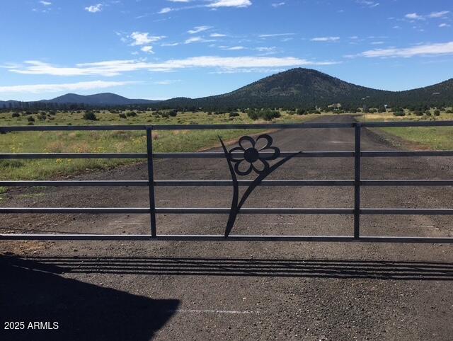 Homes for Sale in Queen Creek Arizona 3 7065 TULIP Trail 9