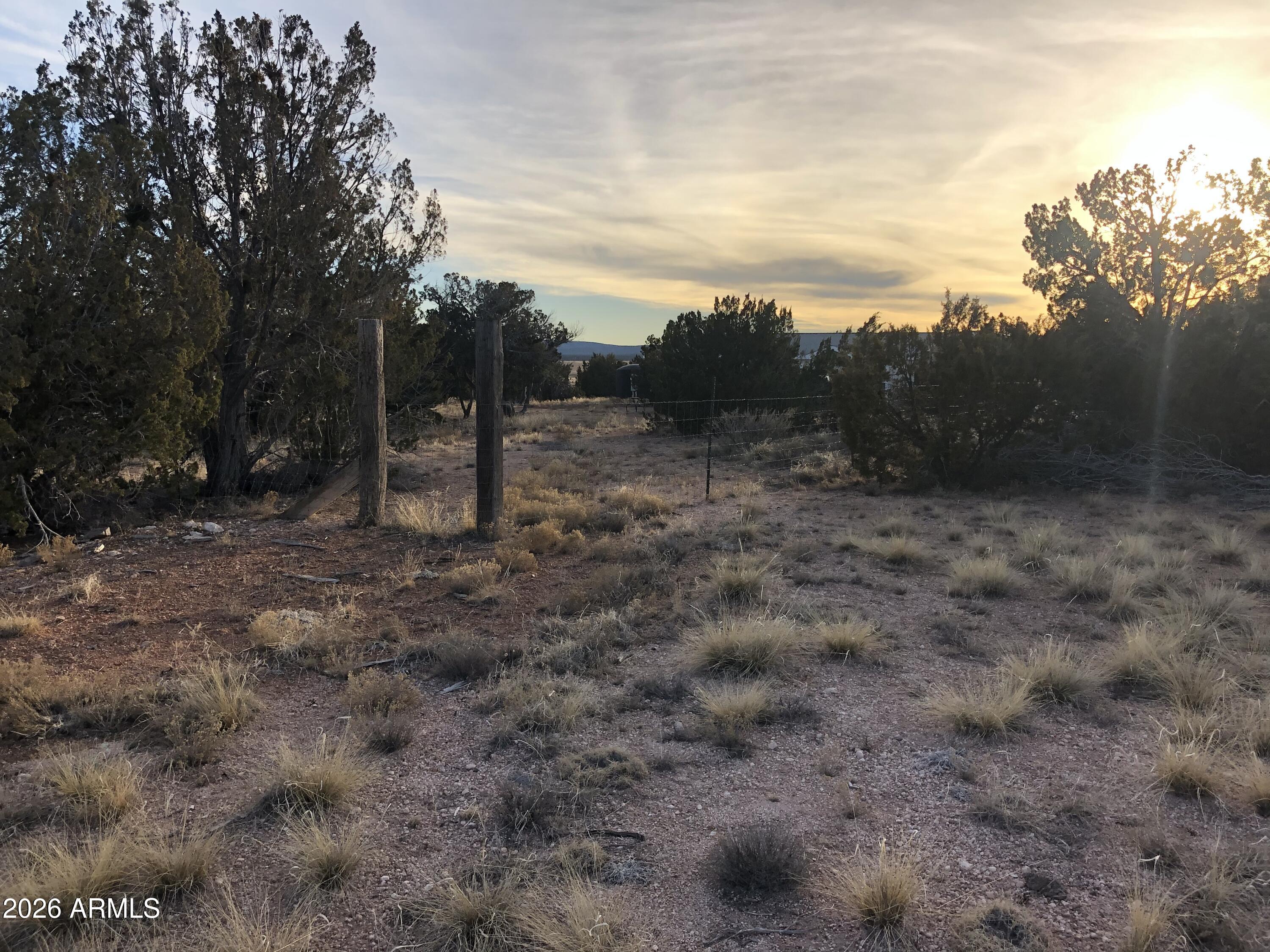 32134 W FOREST Lane 1619