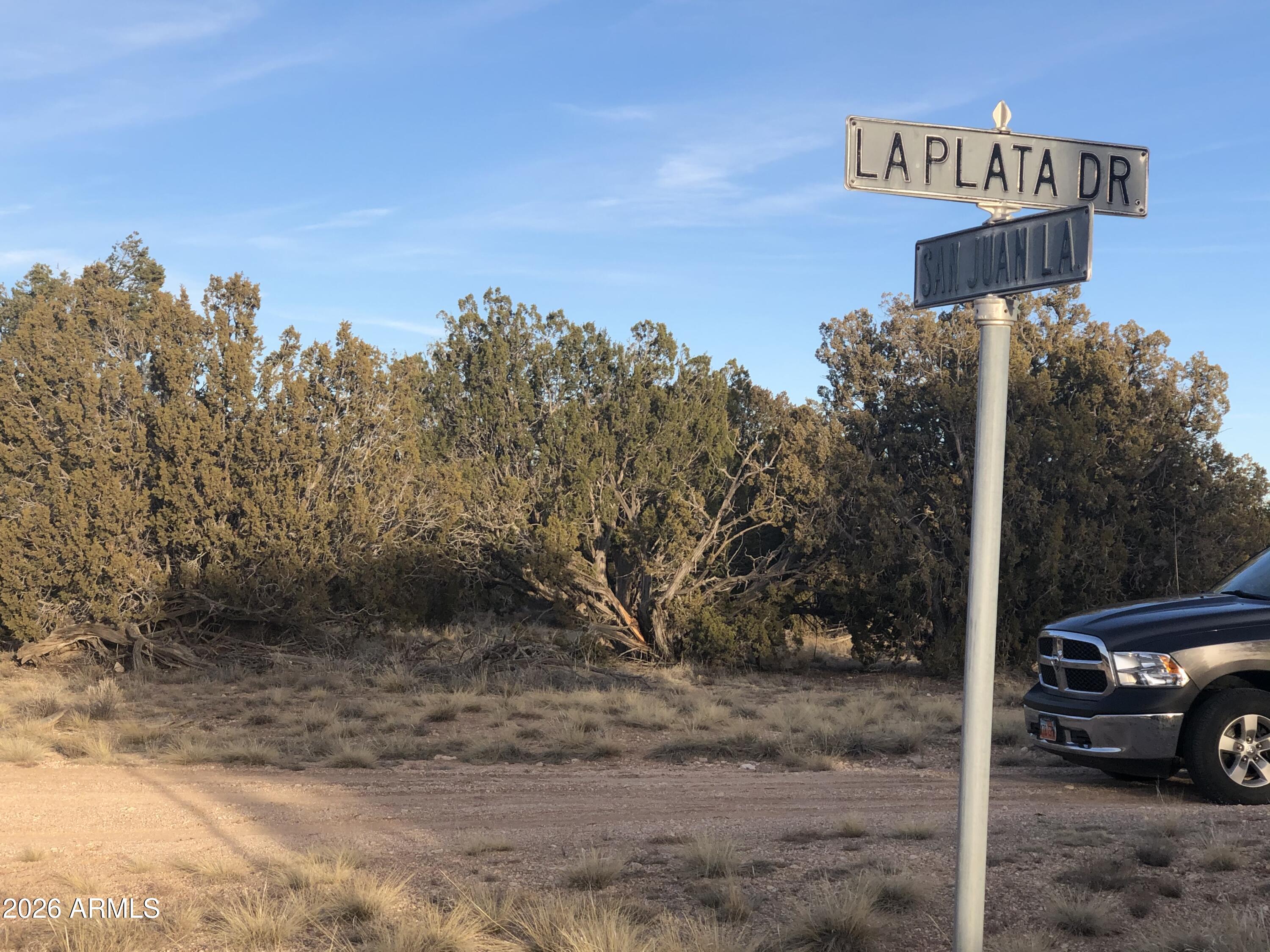 32134 W FOREST Lane 1619