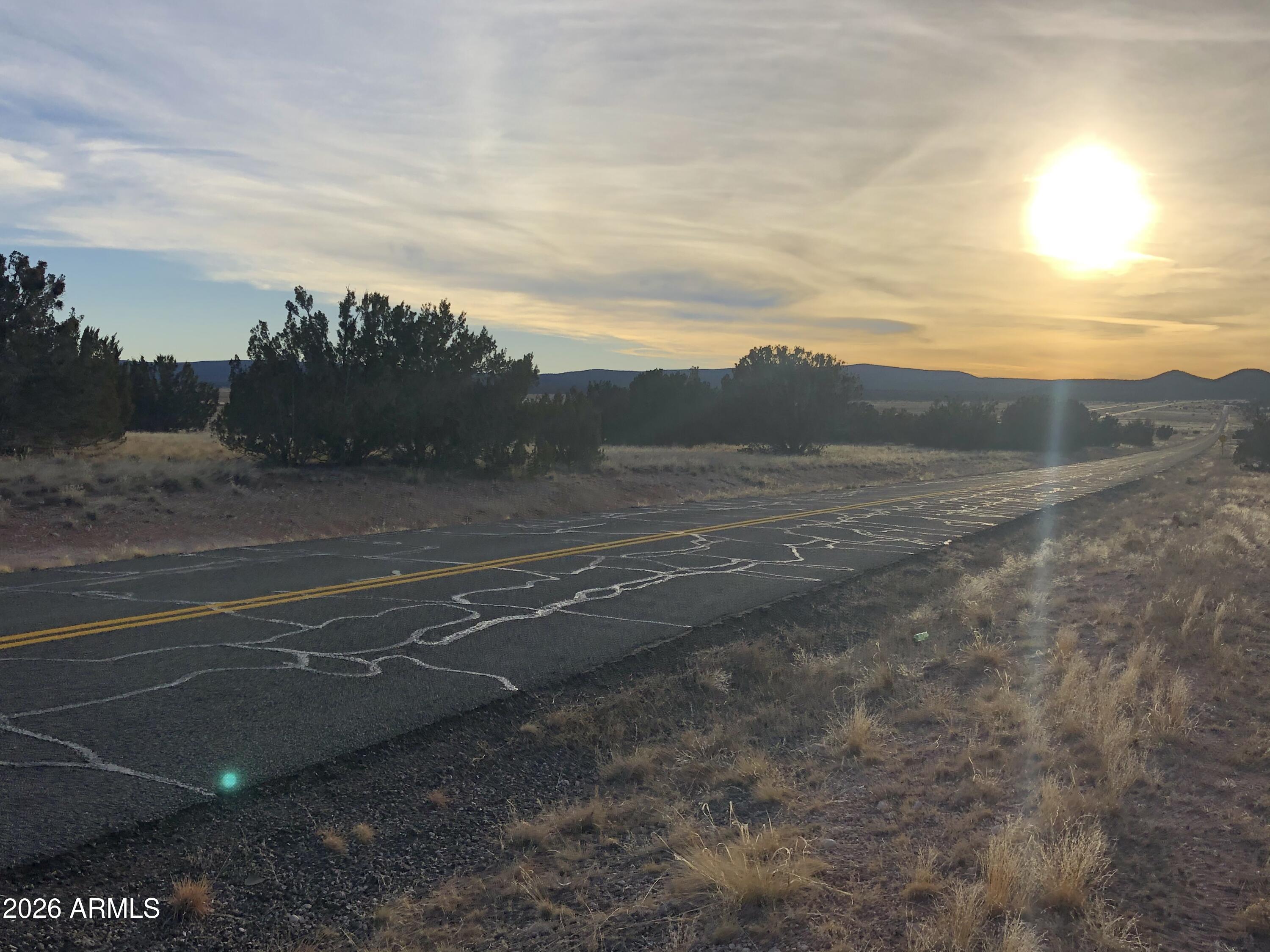 32134 W FOREST Lane 1619