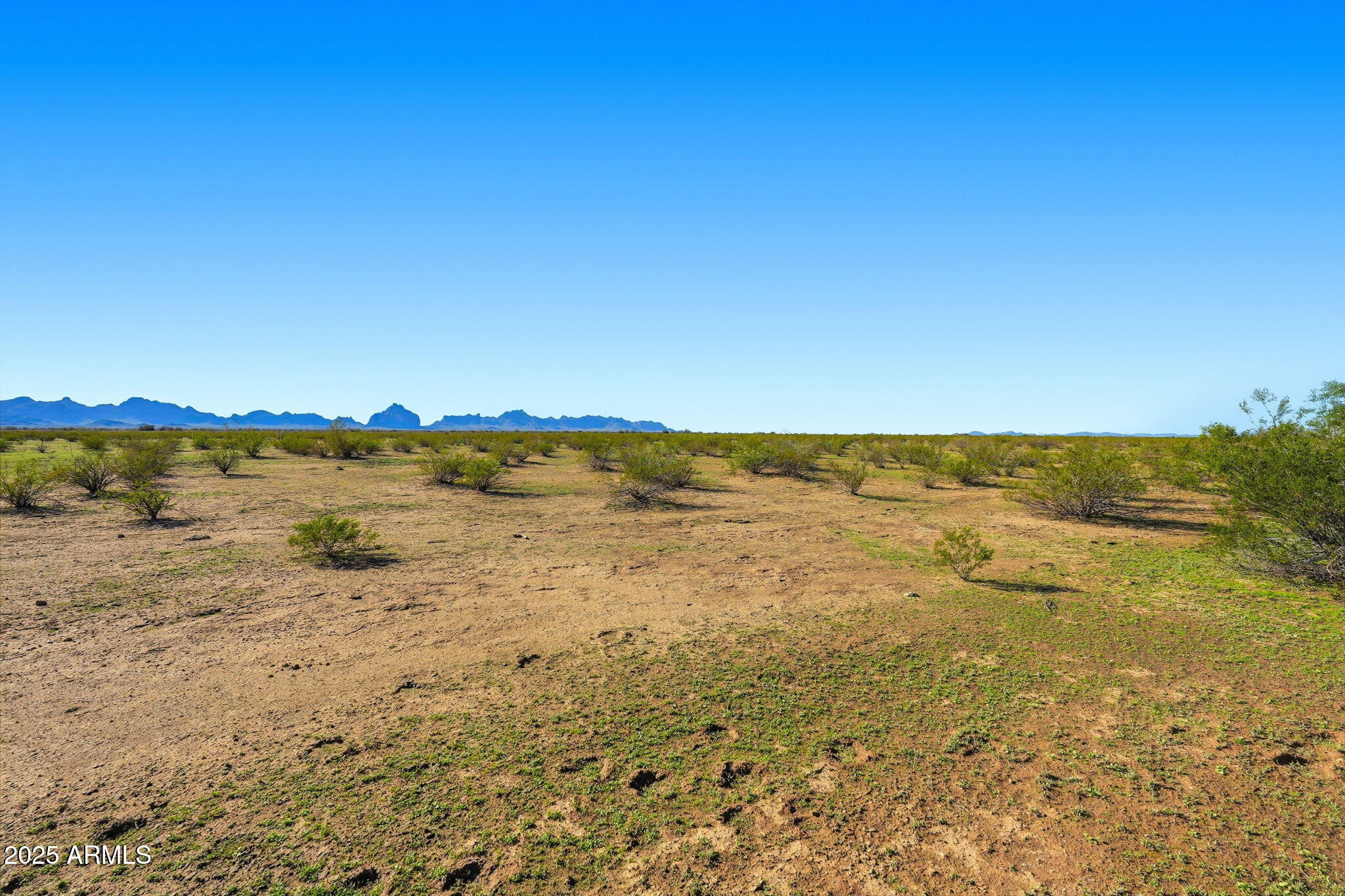 0 W CLARENDON -- 115