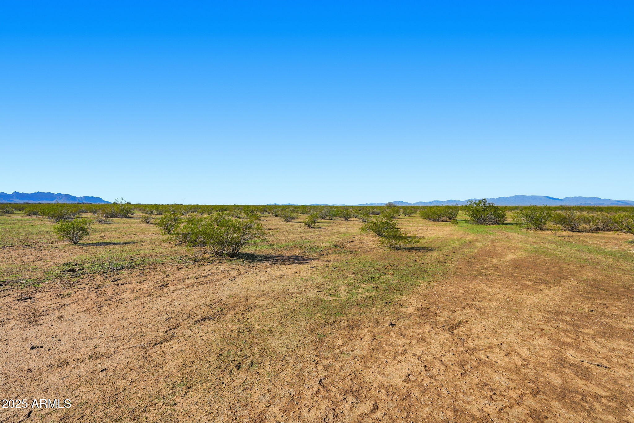 0 W CLARENDON -- 115