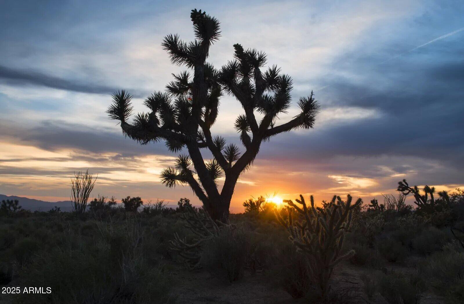 0 Carmen Rd & Allison Dr -- -