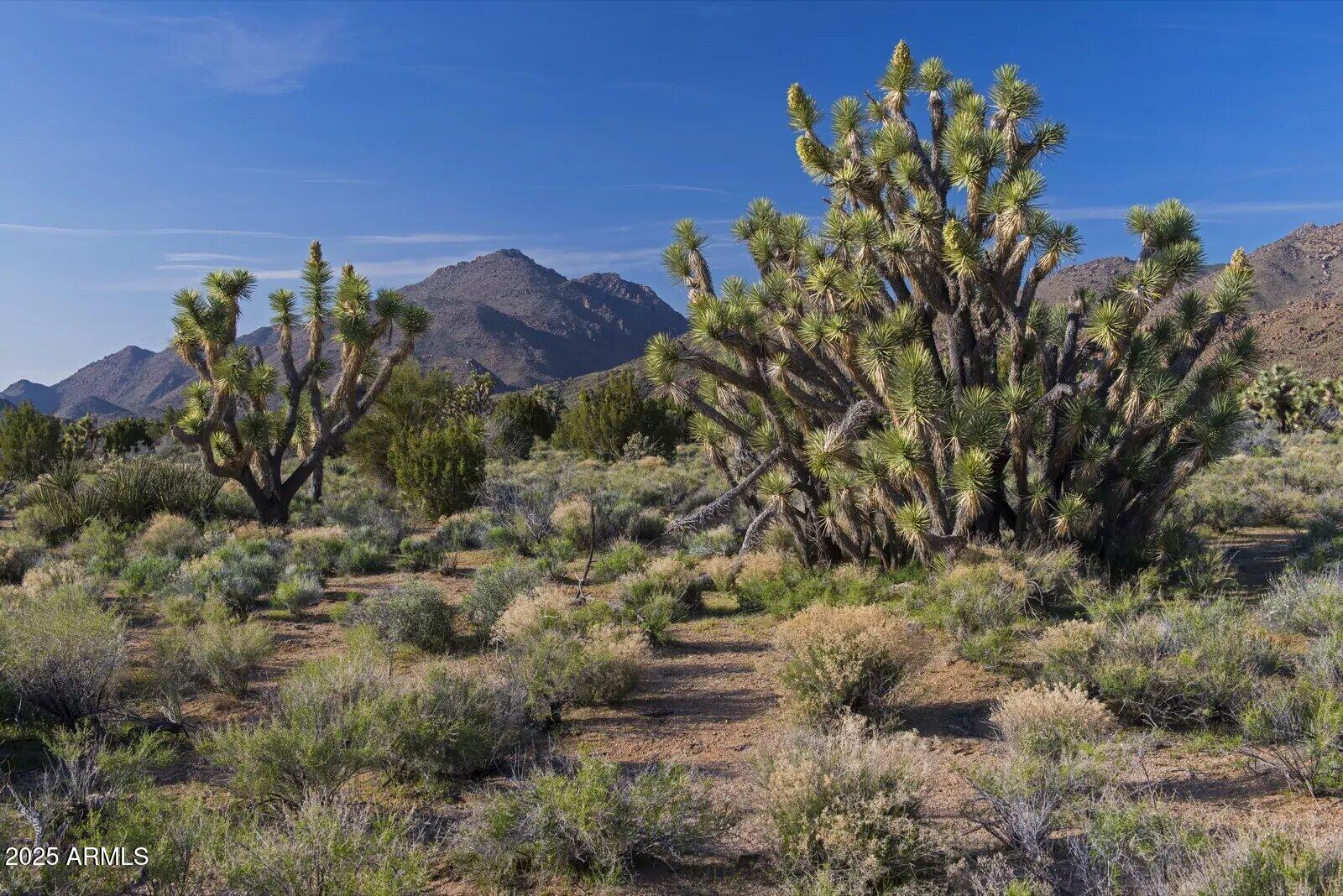 0 Carmen Rd & Allison Dr -- -