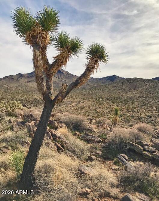 - Lake Mohave Ranchos lot 357 -- 357