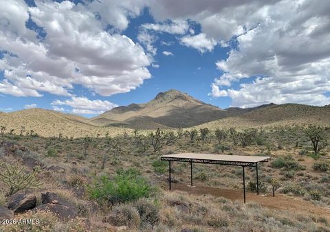 - Lake Mohave Ranchos lot 357 -- 357 Dolan Springs AZ 86441