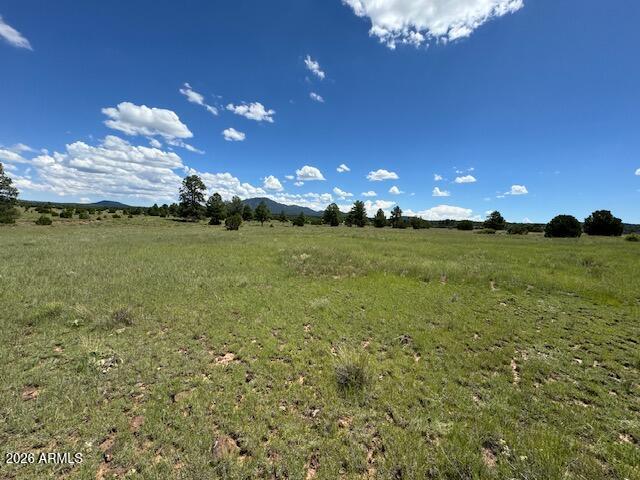 5303 N RED MOUNTAIN Road '-'