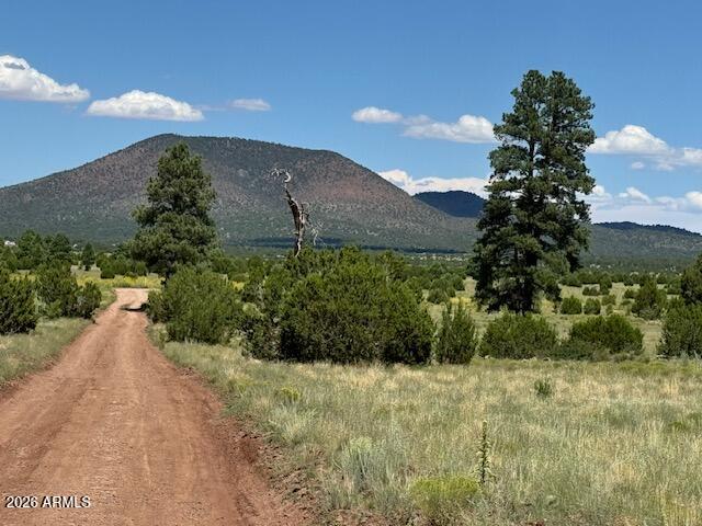 5303 N RED MOUNTAIN Road '-'