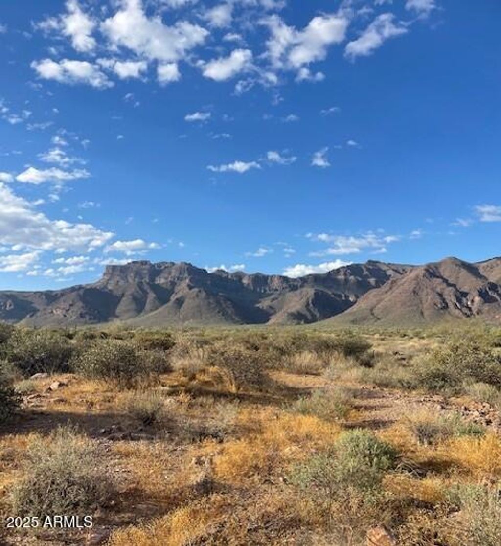 Photo of 9300 E Bunny Ear Ln Lot 4-C Lane #Lot 4-C, Gold Canyon, AZ 85118 (MLS # 6857615)