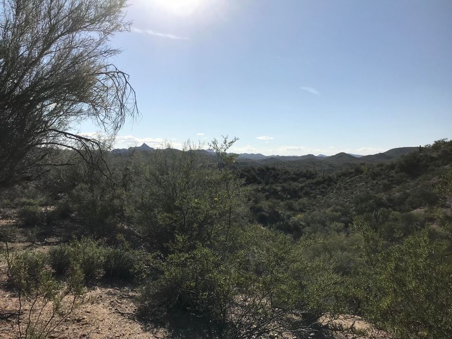 2.63 acres of peace and quiet.  Sale includes and interest in a drilled well.  Good building site nestled in a canyon with great views.