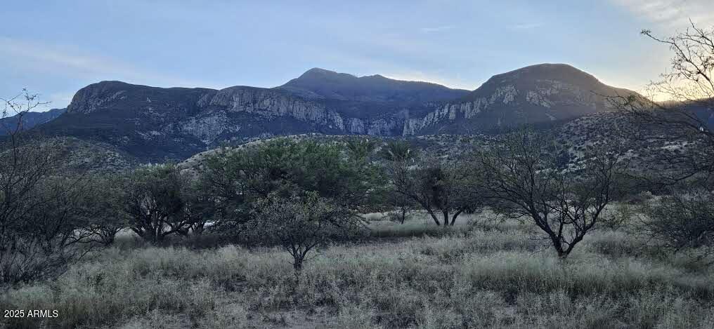 1.25 Acres E E. Emma Lane Lot 2 -- -