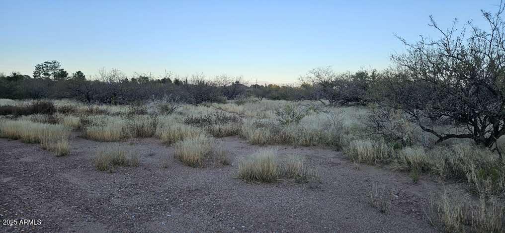 1.25 Acres E E. Emma Lane Lot 2 -- -