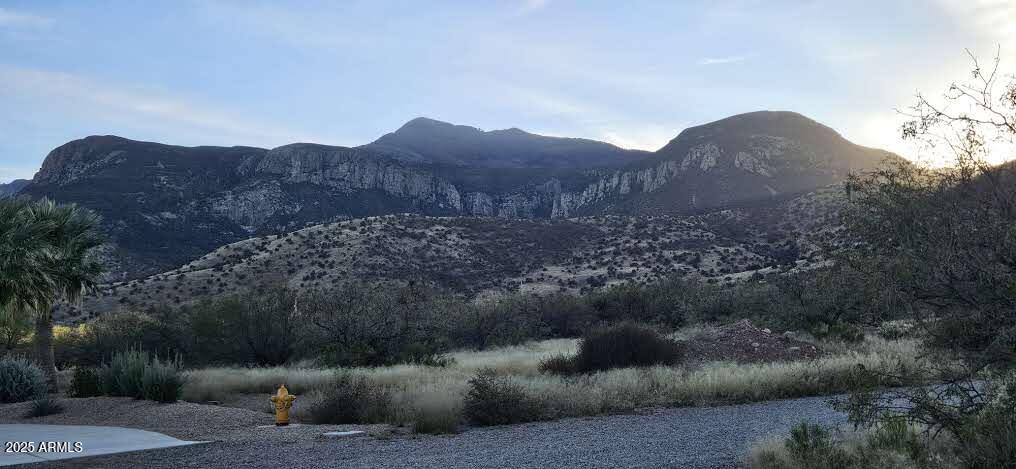 1.25 Acres E E. Emma Lane Lot 2 -- -