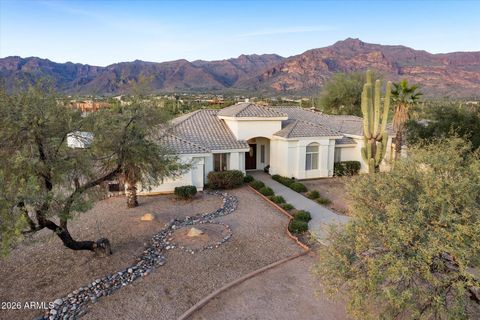 10686 E BASELINE Avenue Gold Canyon AZ 85118