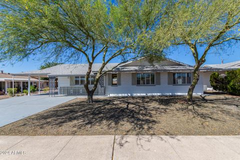 Single Family Residence in Sun City AZ 10509 SNEAD Drive.jpg