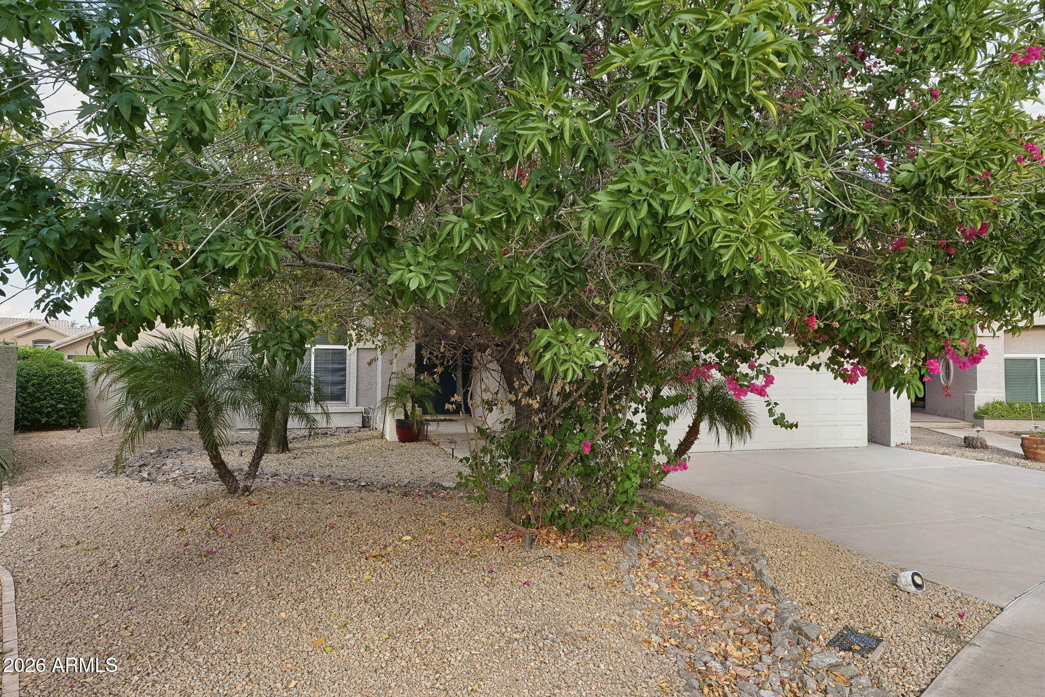 176 W CALLE MONTE Vista
