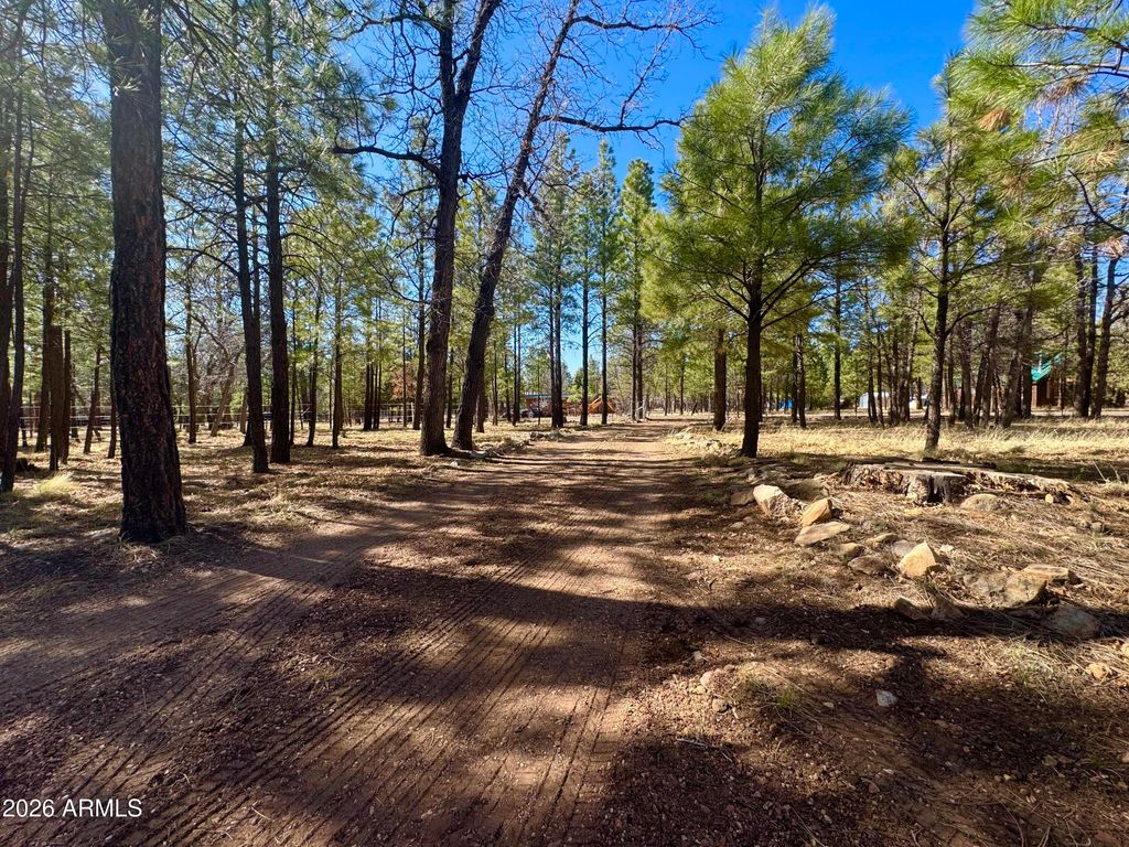 Photo of 826 Jacks Canyon Drive, Happy Jack, AZ 86024 (MLS # 6978033)