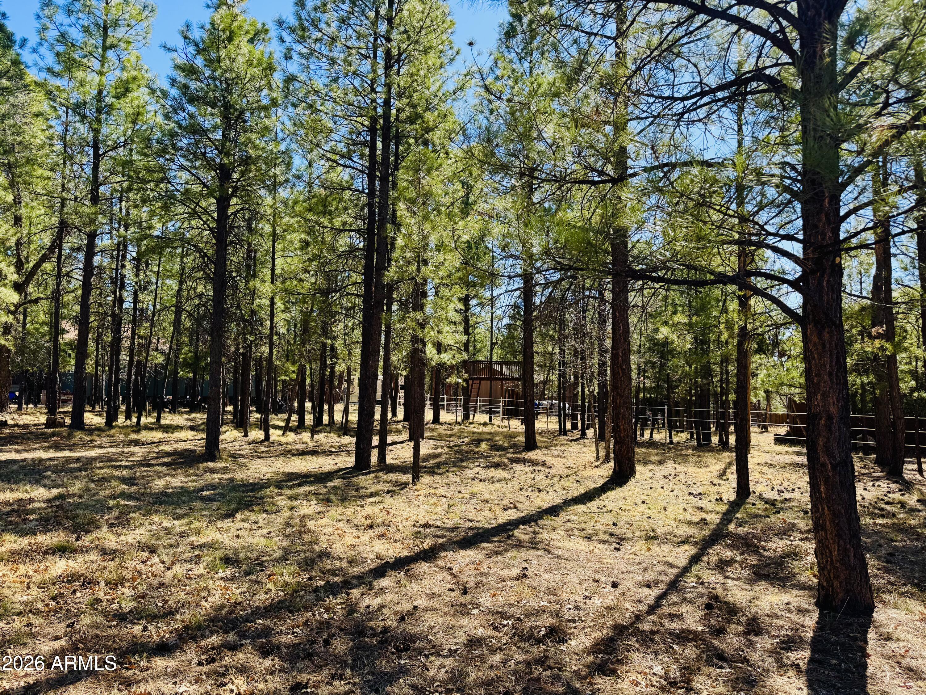 826 JACKS CANYON Drive