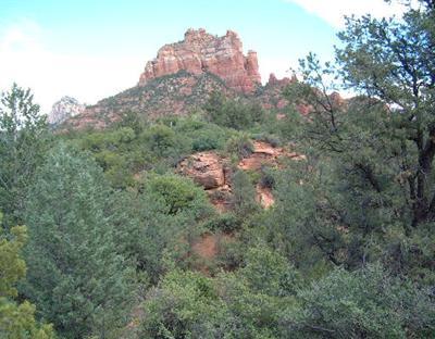 Under 5 Acres - Residential