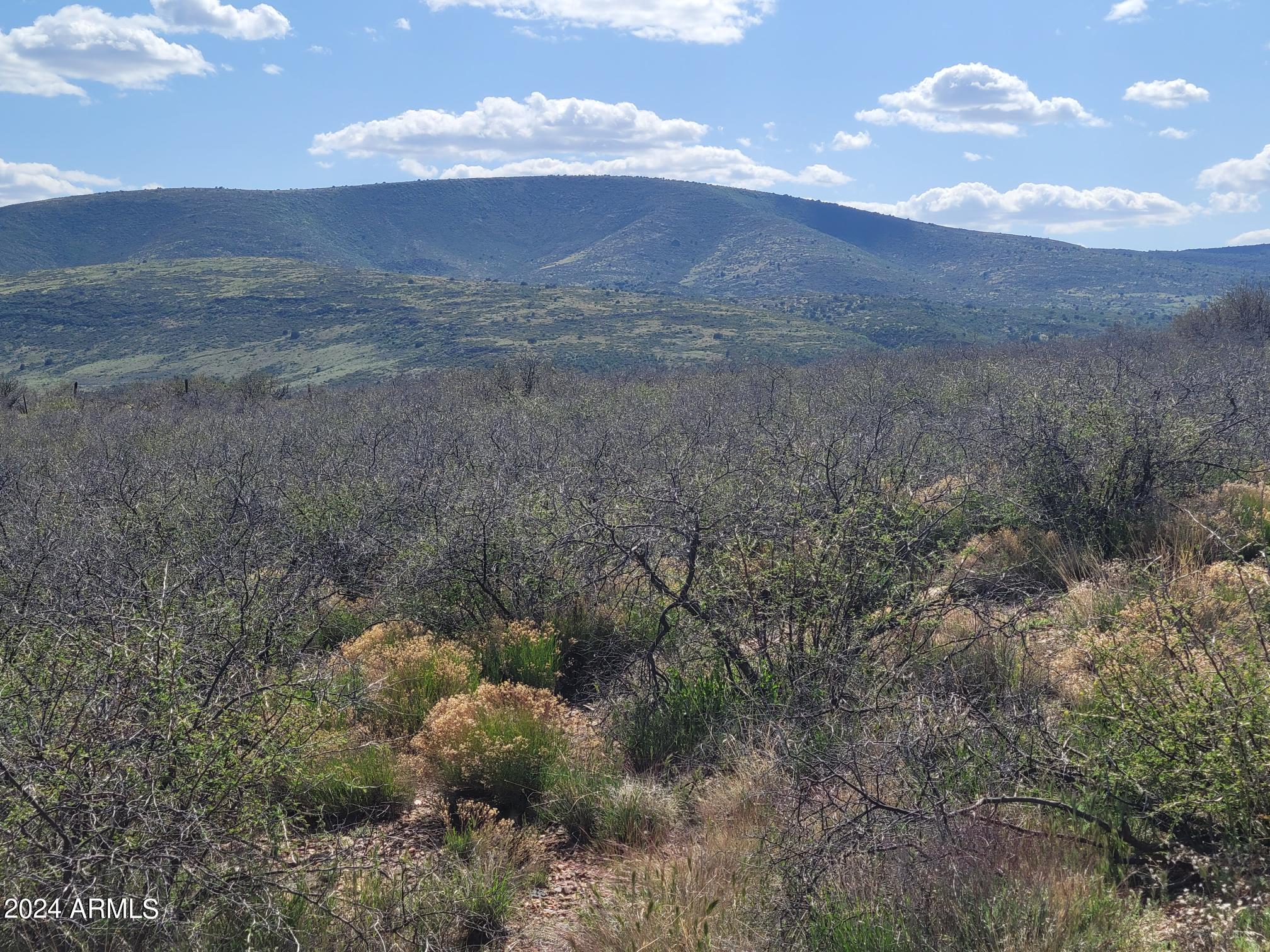 1365 S IRON SPRINGS Road -