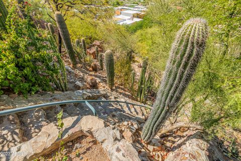 A home in Paradise Valley