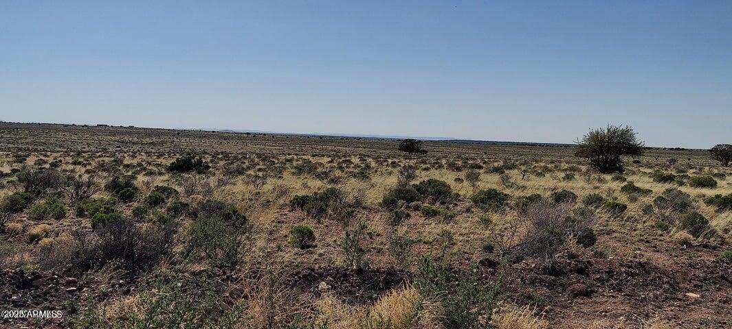 6232 S PRAIRIE GRASS Lane 294