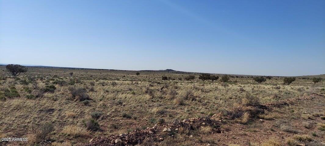 6232 S PRAIRIE GRASS Lane 294