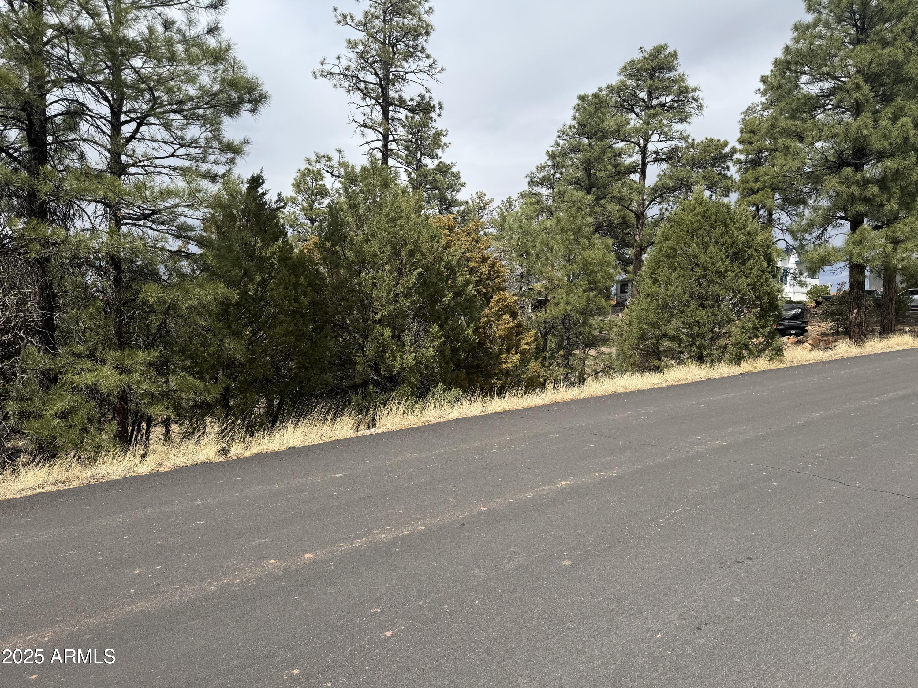 40 TIMBER RIDGE Loop 40