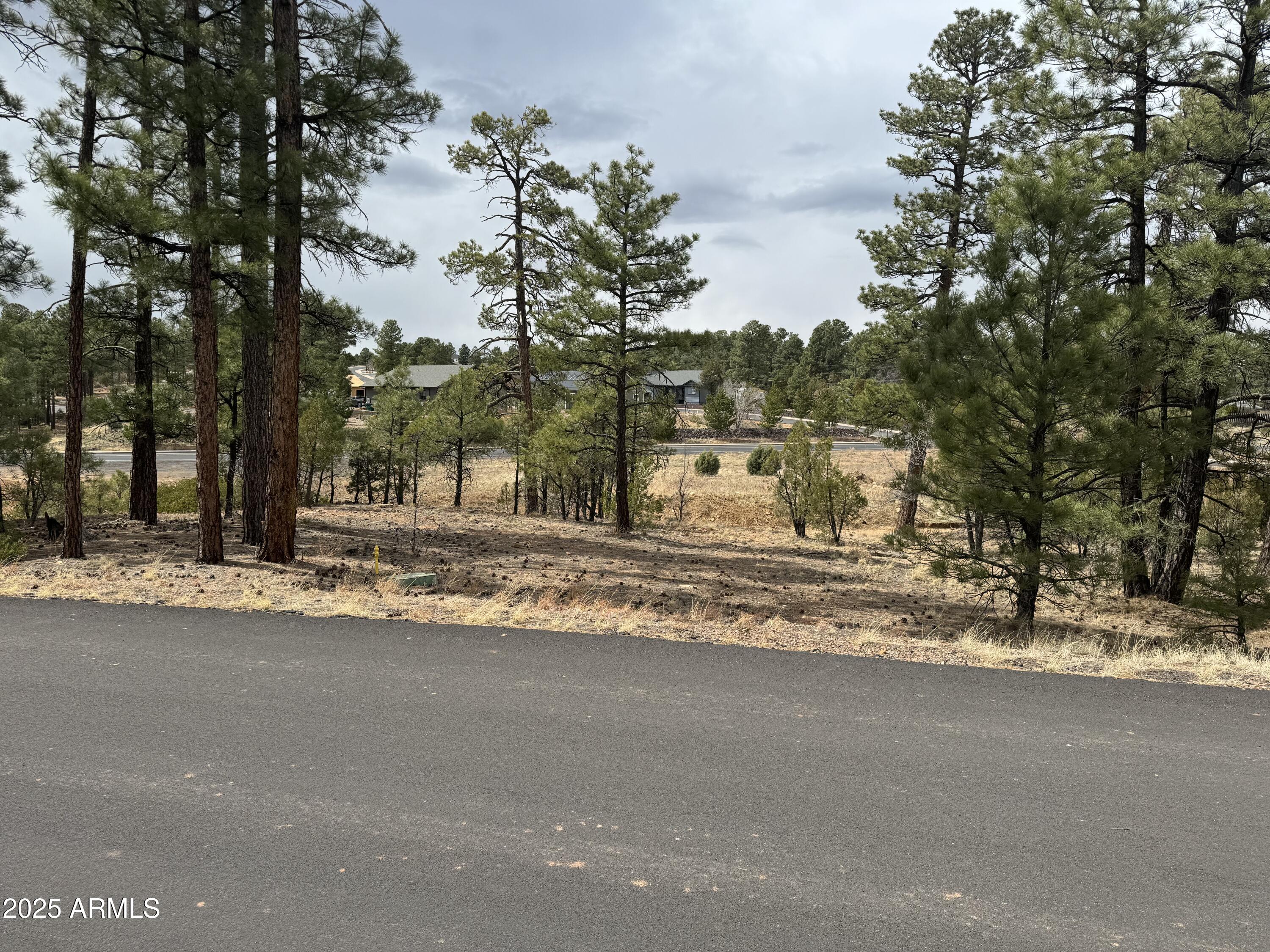 40 TIMBER RIDGE Loop 40