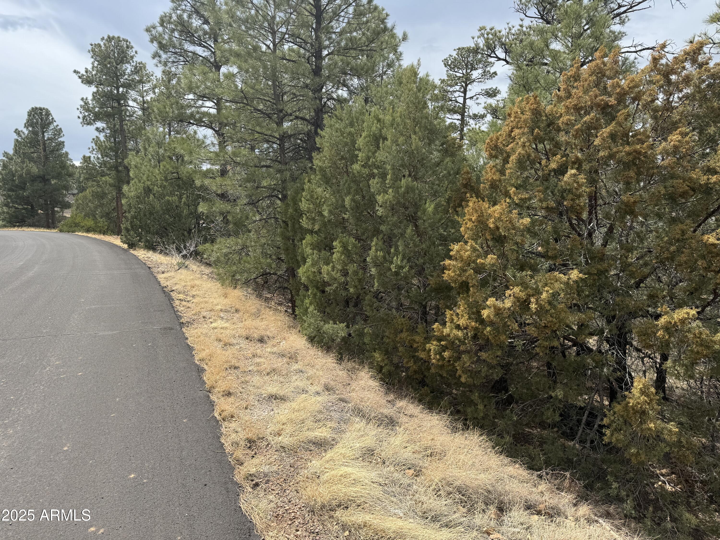 40 TIMBER RIDGE Loop 40