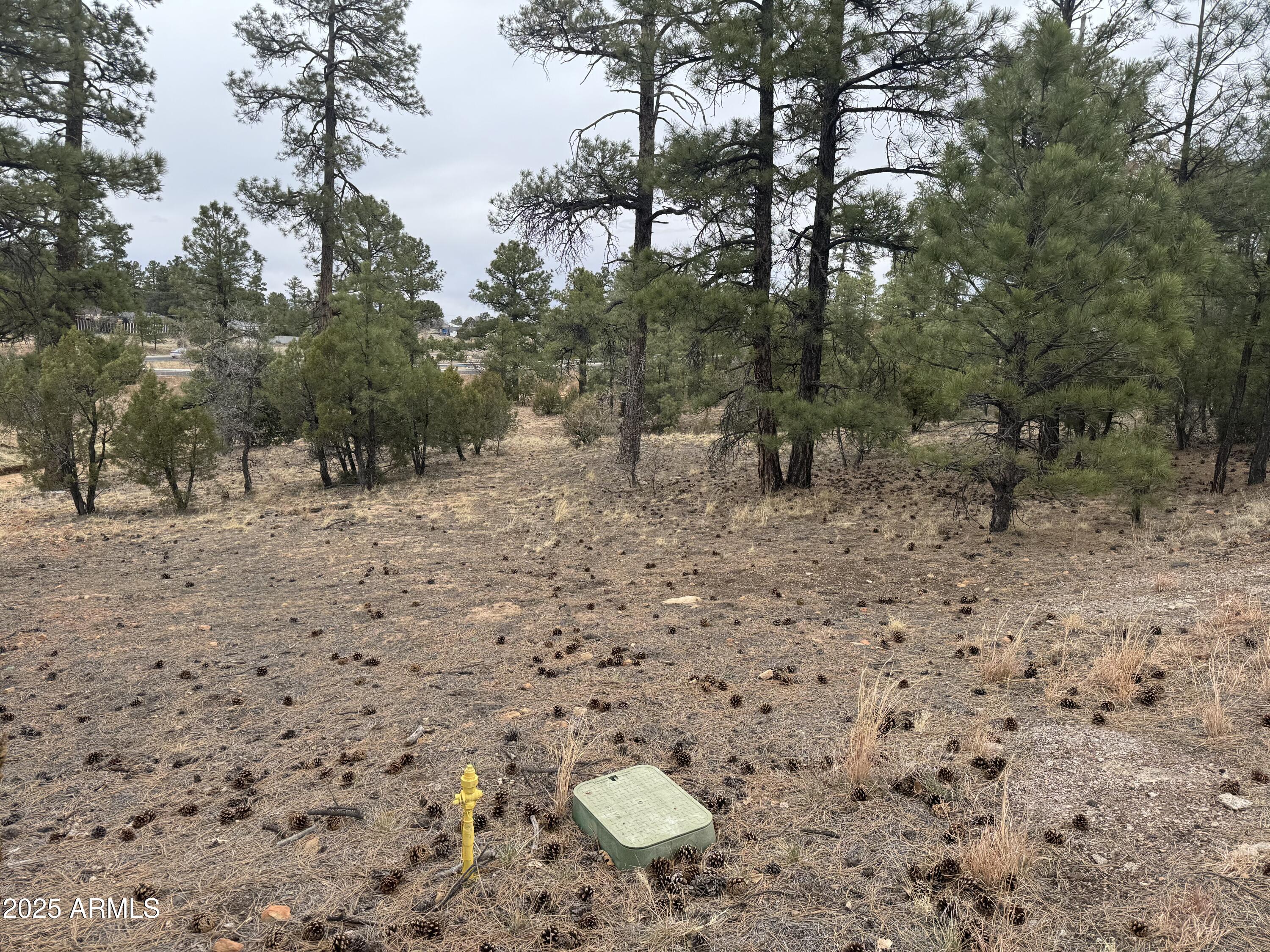 40 TIMBER RIDGE Loop 40