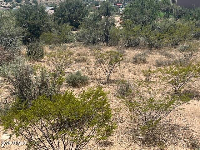 3915 E CAMDEN PASS Pass 29