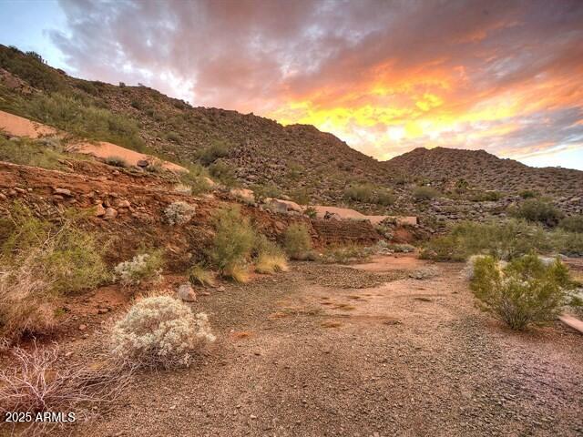 5240 N 61ST Street 3