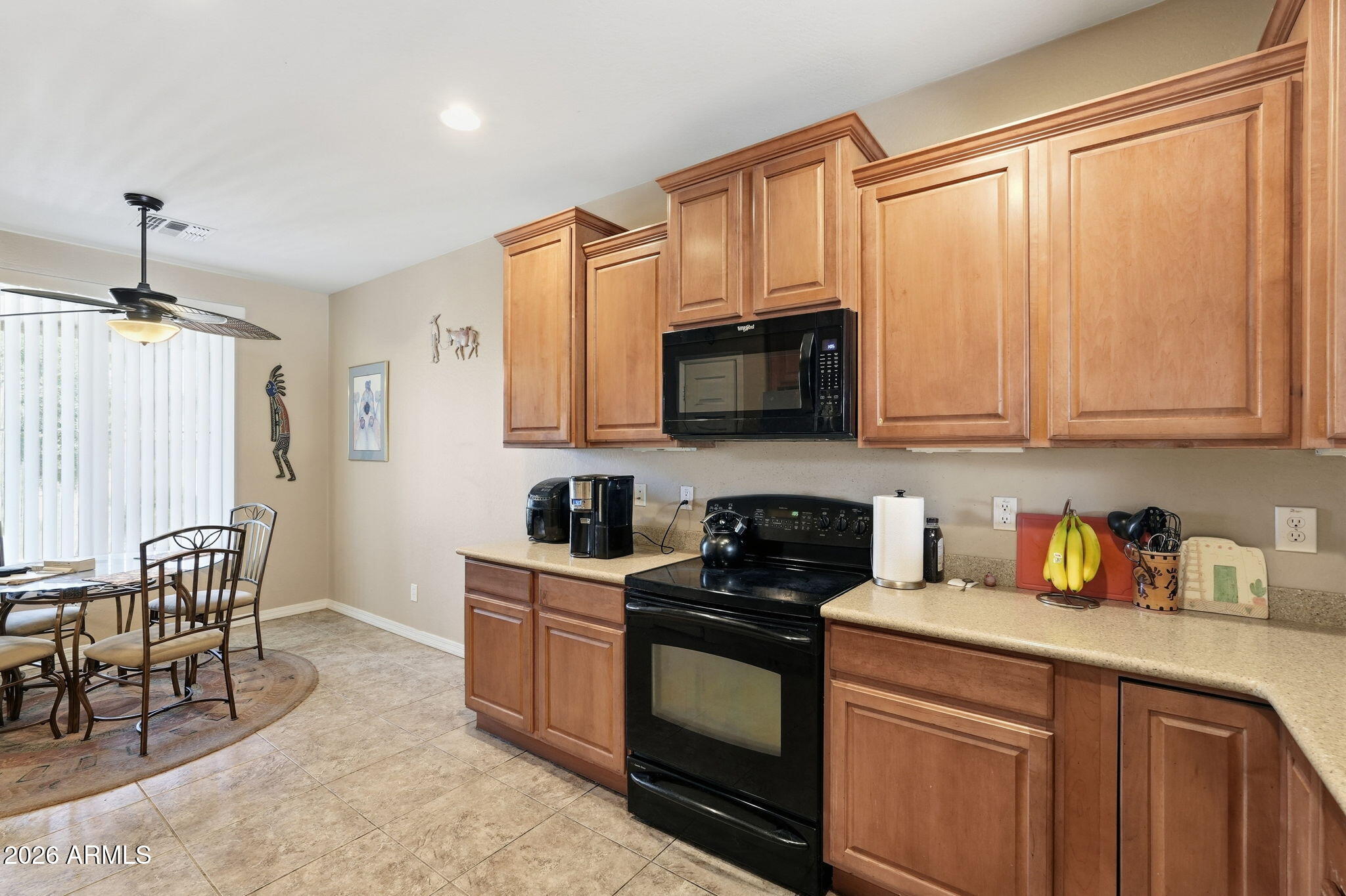 253 W SADDLEBAG Lane
