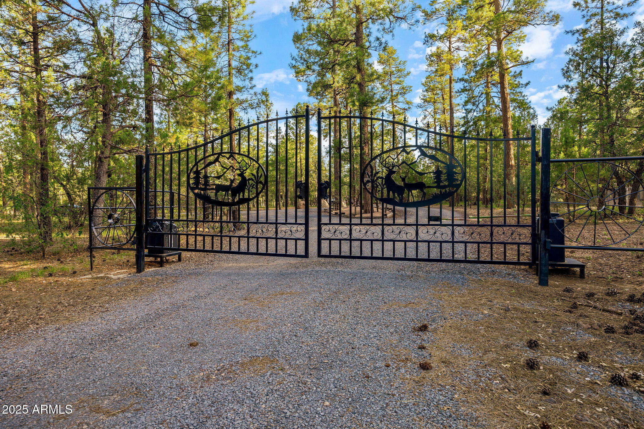 2332 HALL Drive