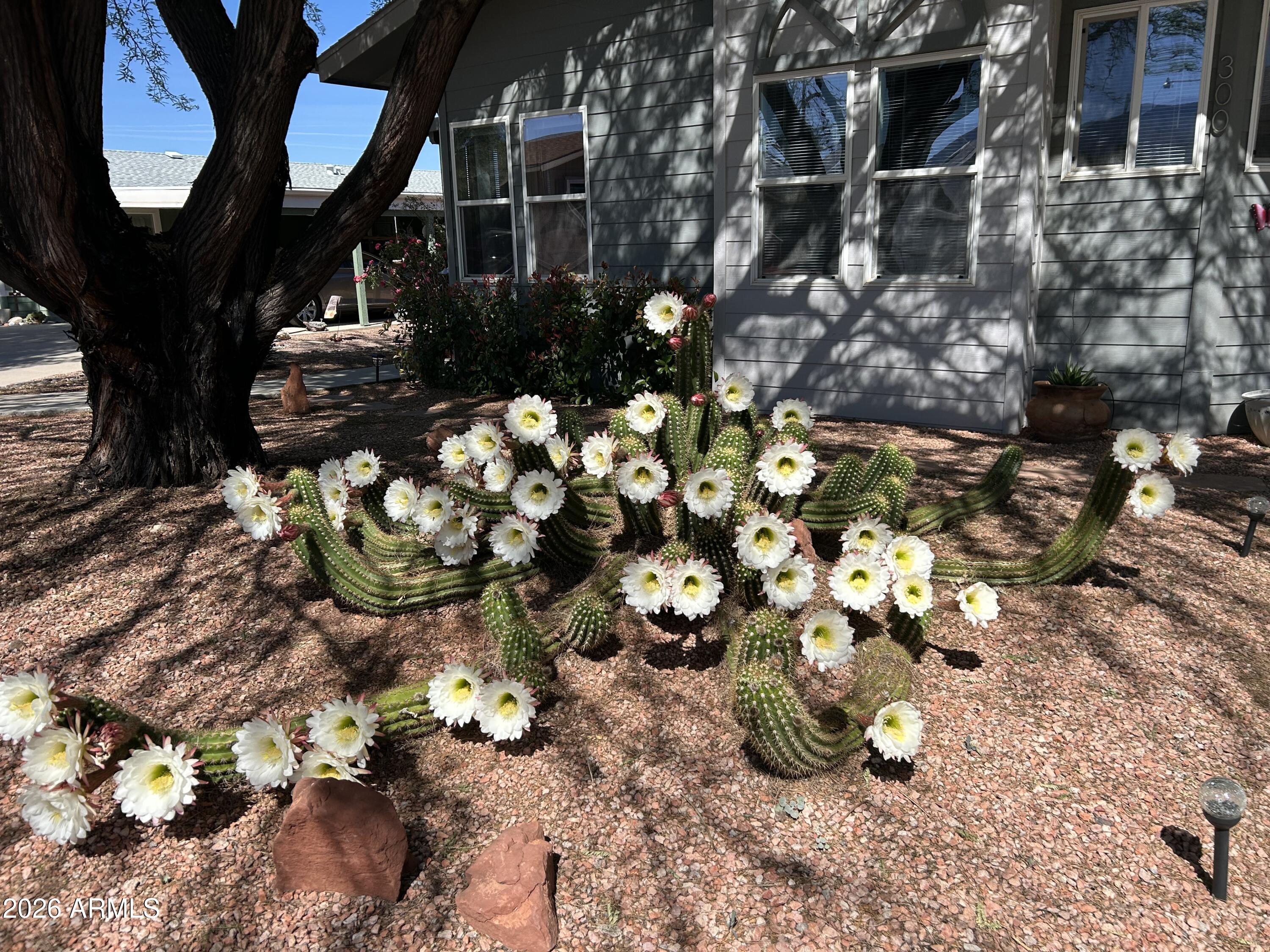 2050 W State Route 89 A -- 300