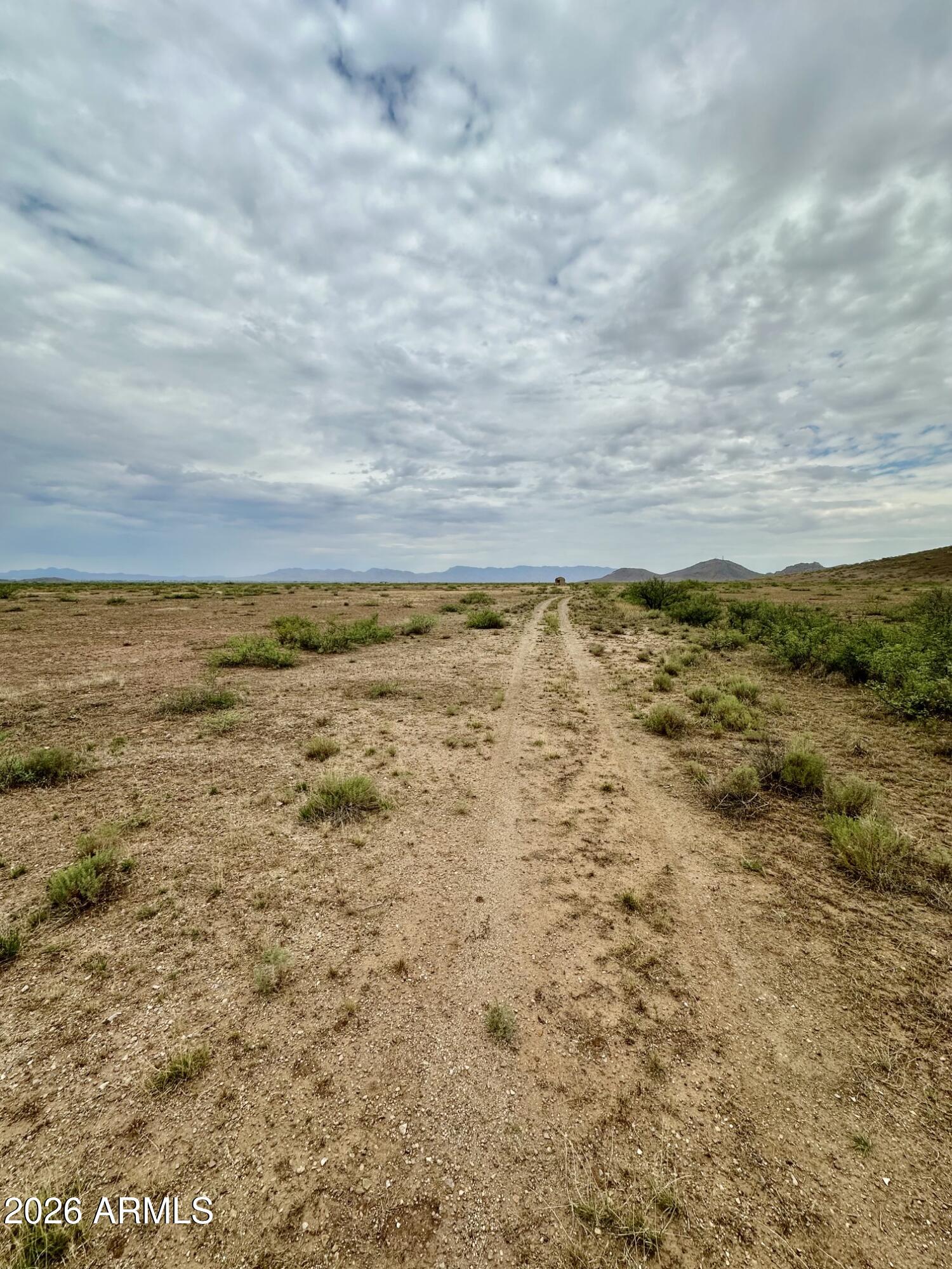 TBD Saddle Drive -