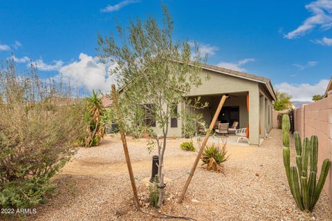 A home in Gold Canyon